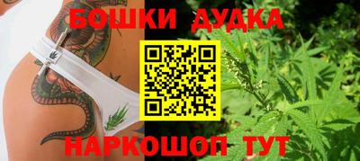 твердый Камышлов