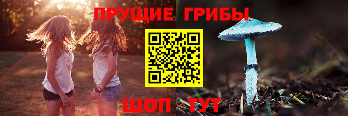 Псилоцибиновые грибы GOLDEN TEACHER  Псилоцибиновые грибы MAGIC MUSHROOMS  Вход с VPN  Кировск 